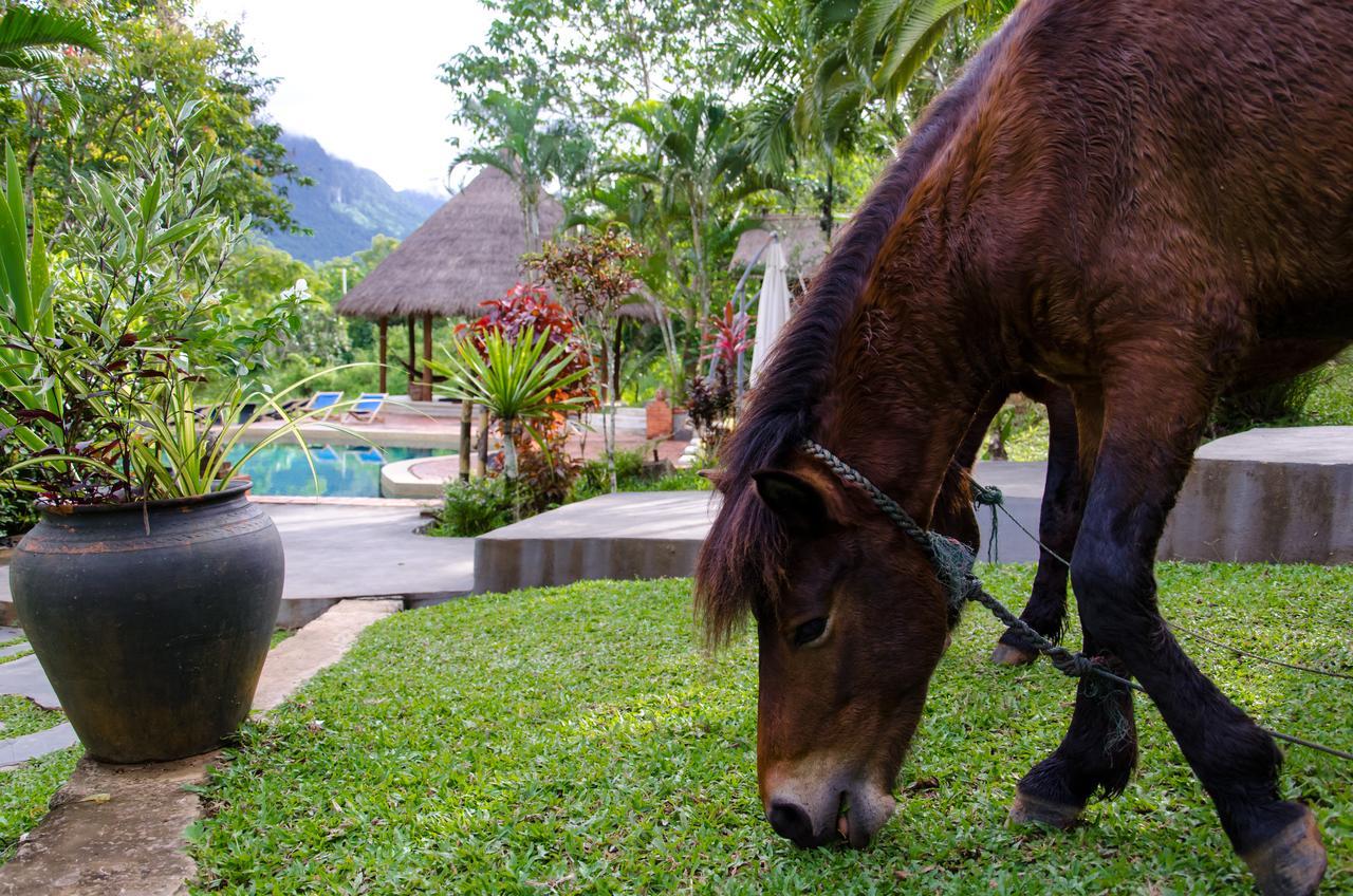 Hillside - Nature Lifestyle Lodge Luang Prabang Exterior foto